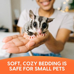 Fresh News Recycled Paper Small Animal Bedding, 40-L