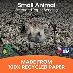 Fresh News Recycled Paper Small Animal Bedding, 40-L