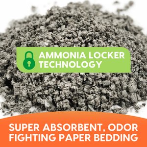 Fresh News Recycled Paper Small Animal Bedding, 40-L