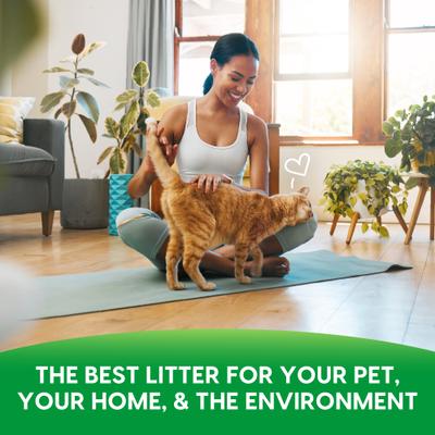 Show full view: Fresh News Unscented Non-Clumping Paper Cat Litter, 12-lb bag slide 9 of 11