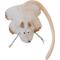 Show in main carousel: SteelDog USA Combo Critter Plush Cat Toy with Catnip Pouch, White slide 1 of 3