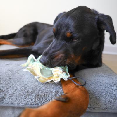 Show full view: SteelDog USA Denim Sunfish Crinkle Plush Dog Toy slide 5 of 6