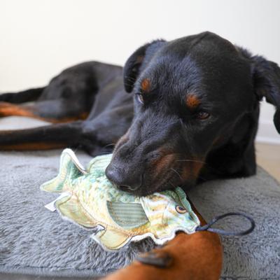 Show full view: SteelDog USA Denim Sunfish Crinkle Plush Dog Toy slide 2 of 6