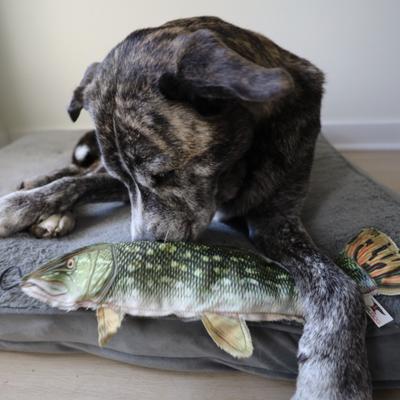 Show full view: SteelDog USA Denim Northern Crinkle Plush Dog Toy slide 3 of 6