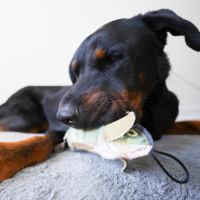 Show full view: SteelDog USA Denim Perch Crinkle Plush Dog Toy slide 5 of 7