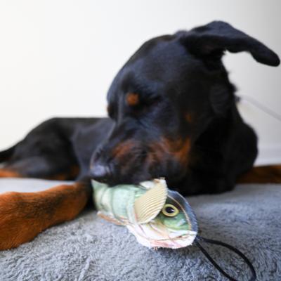 Show full view: SteelDog USA Denim Perch Crinkle Plush Dog Toy slide 3 of 7