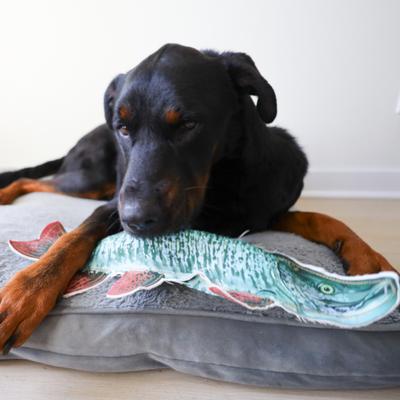 Show full view: SteelDog USA Denim Muskie Crinkle Plush Dog Toy slide 5 of 6