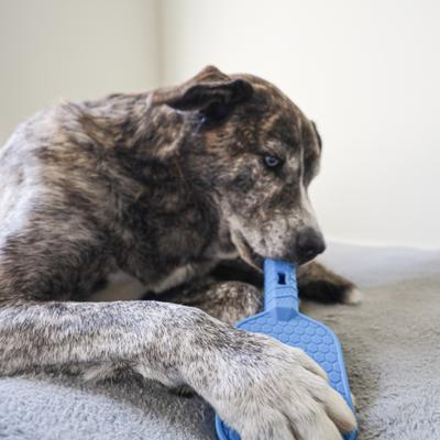 Show full view: SteelDog USA Slow Treater Pickleball Paddle Treat Dispenser Dog Toy slide 3 of 5