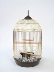 YML 1564Brass Round Dome Top Bird Cage with Perch