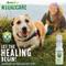 Show in main carousel: ADORE Pet Wound Care Holistic Healing Oil for Dogs & Cats, 1-fl oz bottle slide 4 of 8