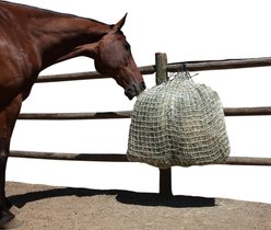 Freedom Feeder 4 Flake Slow Feeding Standard Horse Day Net, White, 1-in slide 1 of 9