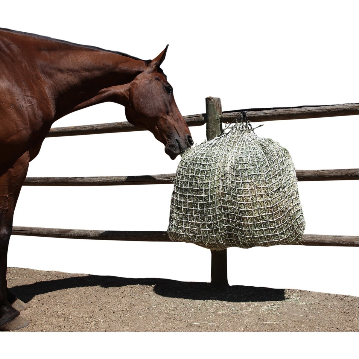 Freedom Feeder 4 Flake Slow Feeding Standard Horse Day Net, White, 1.5-in