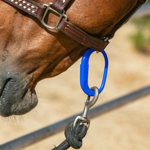 Safe-T-Ties Horse Safety Ties, 6 count, Dark Blue