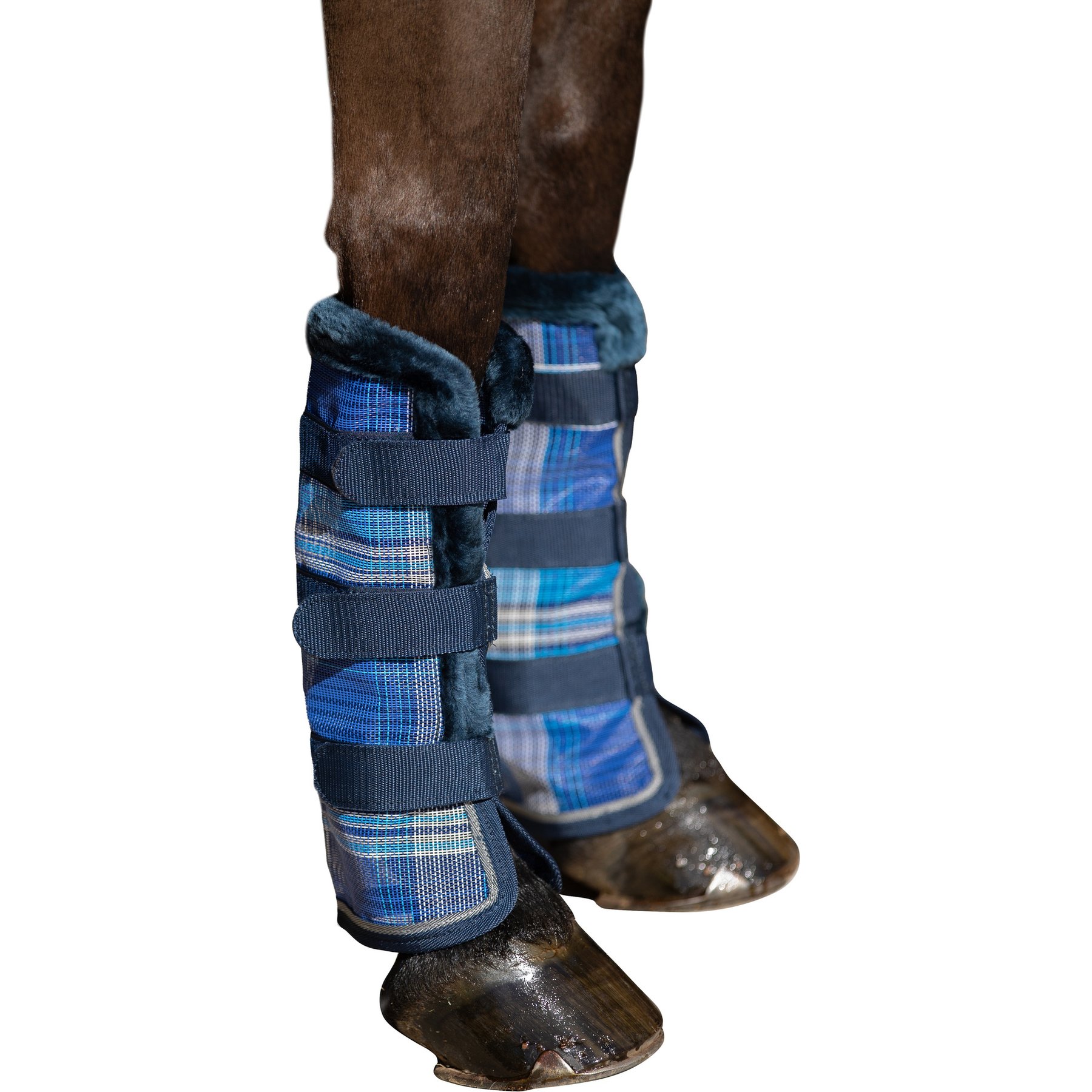 Kensington Protective Products Protective Horse Fly Boots, Kentucky Blue, Cob/Arab, 2 count