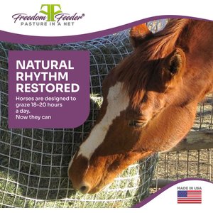 Kensington Protective Products Freedom Feeder Slow Feeding Super Horse Day Net, White, 1-in