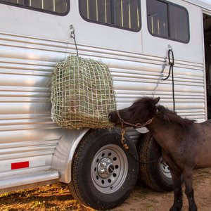 Freedom Feeder 2 Flake Slow Feeding Mini Horse Day Net, White, 1.5-in