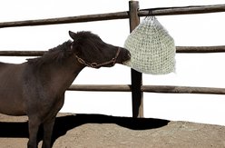 Freedom Feeder 2 Flake Slow Feeding Mini Horse Day Net, White, 1-in