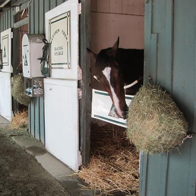 Show full view: Freedom Feeder 2 Flake Slow Feeding Mini Horse Day Net, White, 1-in slide 3 of 9