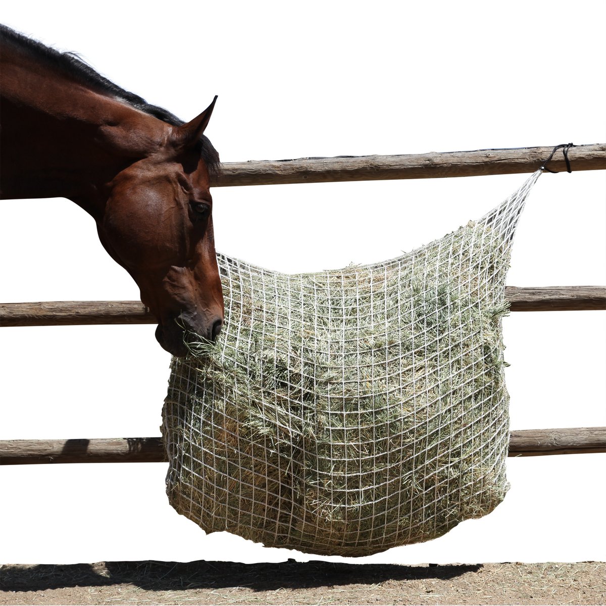 Freedom Feeder 8 Flake Slow Feeding Extended Horse Day Net, White, 2-in