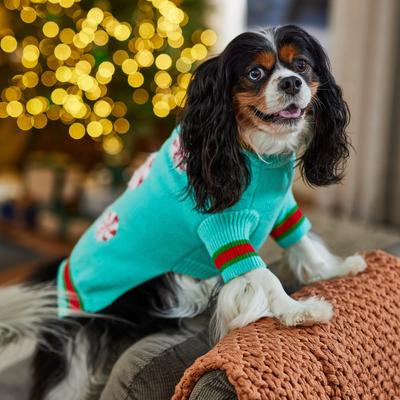 Show full view: Frisco Christmas Peppermint Dog & Cat Sweater, Mint, Medium slide 8 of 11