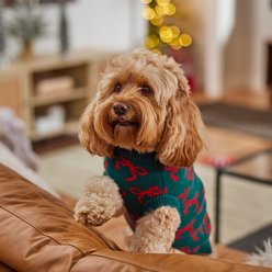 Frisco Christmas Bows Dog & Cat Sweater, Green, Medium slide 2 of 9