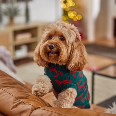 Show full view: Frisco Christmas Bows Dog & Cat Sweater, Green, Medium slide 8 of 11