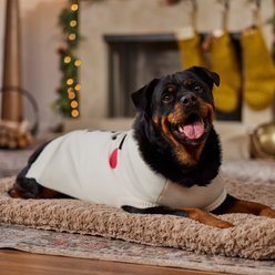 Frisco Christmas Snowman Dog & Cat Sweater, Cream, X-Large slide 2 of 8