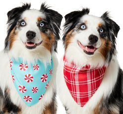 Frisco Holiday Peppermint and Plaid Reversible Dog & Cat Bandana, Medium/Large