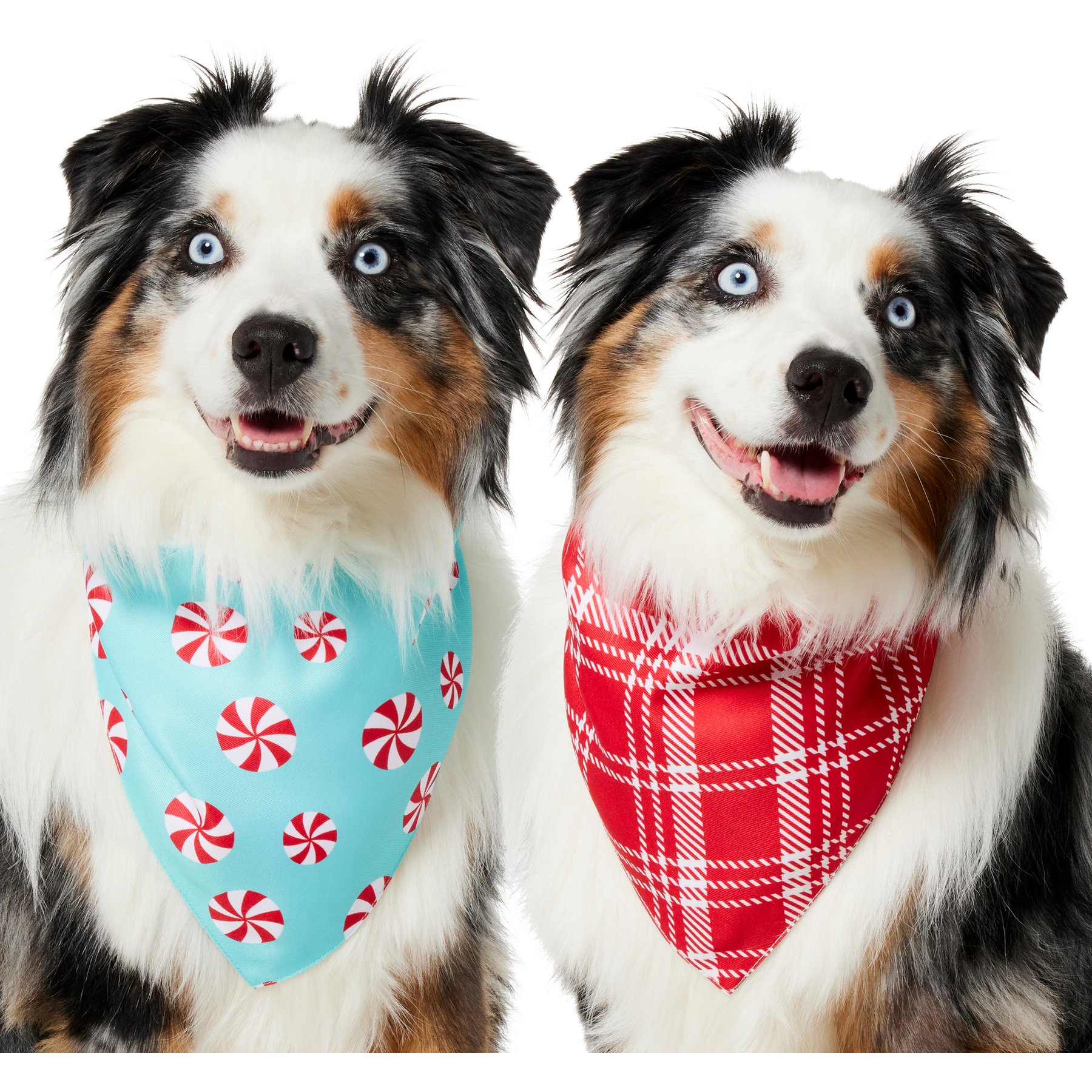 Frisco Christmas Peppermint and Plaid Reversible Dog & Cat Bandana, Medium/Large