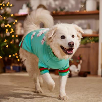 Show full view: Frisco Christmas Peppermint Dog & Cat Sweater, Mint, XX-Large slide 7 of 10
