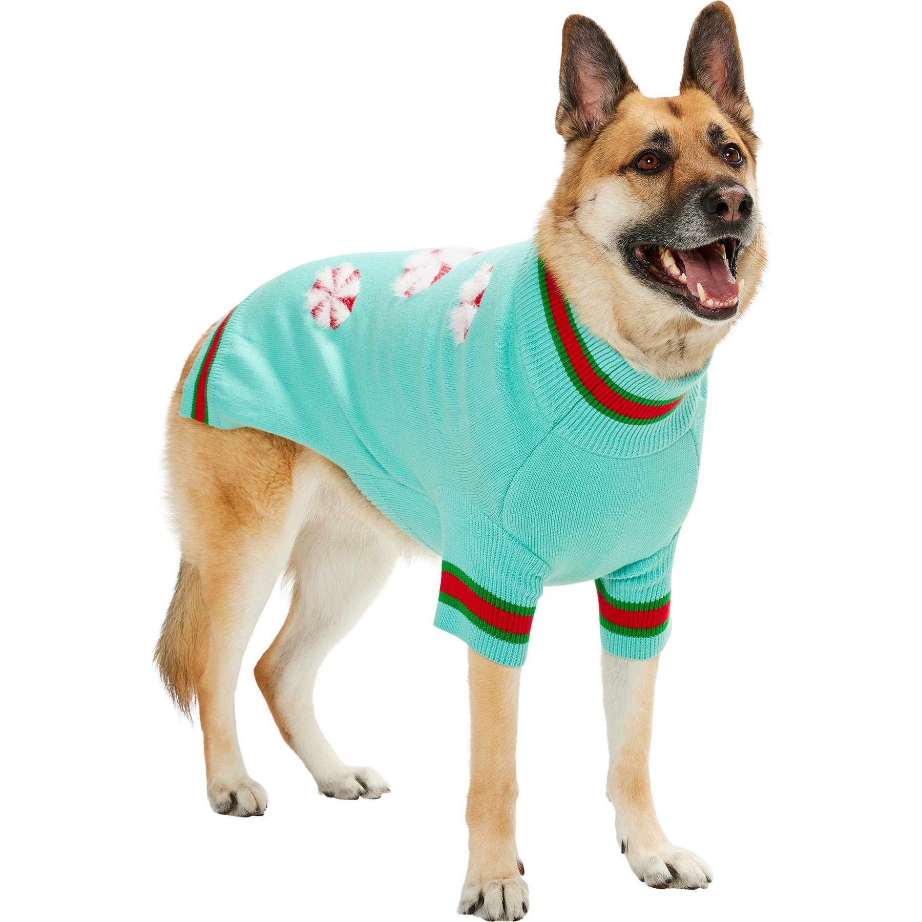Frisco Christmas Peppermint Dog & Cat Sweater, Mint, XX-Large