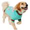 Show in main carousel: Frisco Christmas Peppermint Dog & Cat Sweater, Mint, Medium slide 1 of 11