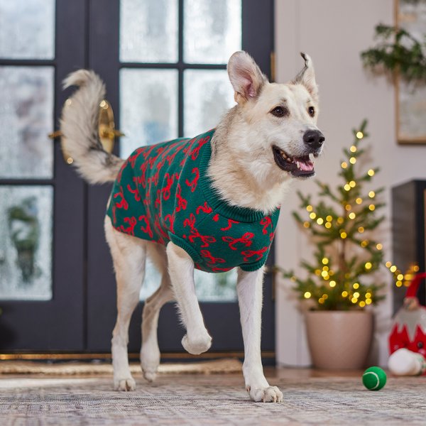 Show full view: Frisco Holiday Bows Dog & Cat Sweater, Green, XX-Large slide 7 of 9