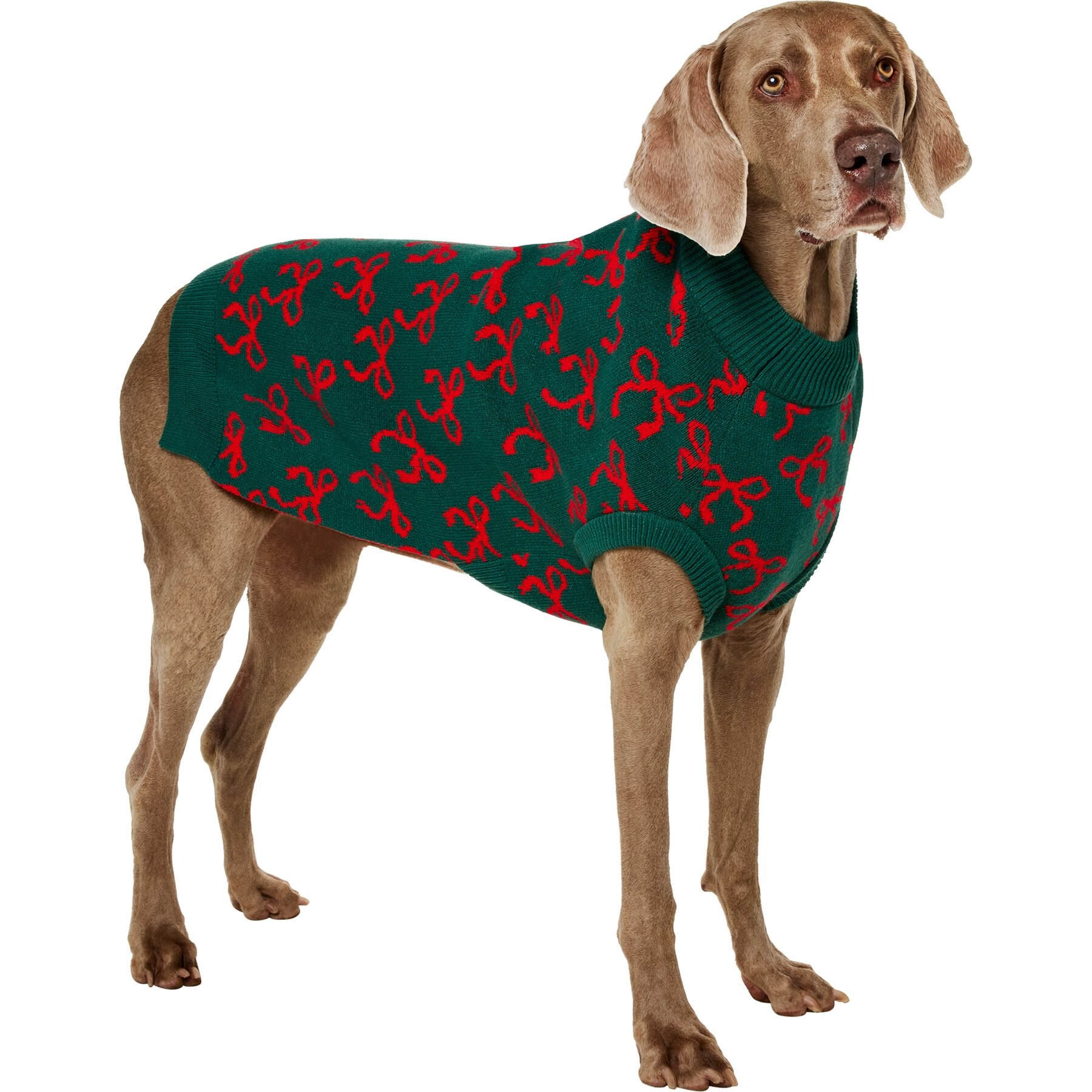 Frisco Christmas Bows Dog & Cat Sweater, Green, XX-Large