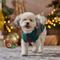 Show in main carousel: Frisco Christmas Bows Dog & Cat Sweater, Green, Small slide 8 of 11