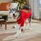 Show in main carousel: Frisco Christmas Ho Ho Ho Dog & Cat Sweater, Red, X-Large slide 7 of 10