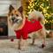 Show in main carousel: Frisco Christmas Ho Ho Ho Dog & Cat Sweater, Red, Large slide 7 of 10