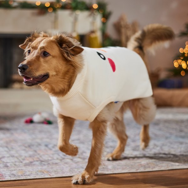 Show full view: Frisco Holiday Snowman Dog & Cat Sweater, Cream, XX-Large slide 7 of 9