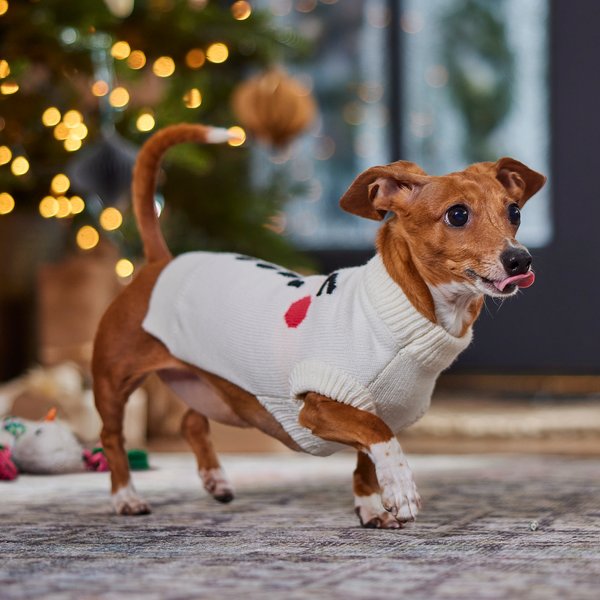 Show full view: Frisco Holiday Snowman Dog & Cat Sweater, Cream, X-Small slide 8 of 10