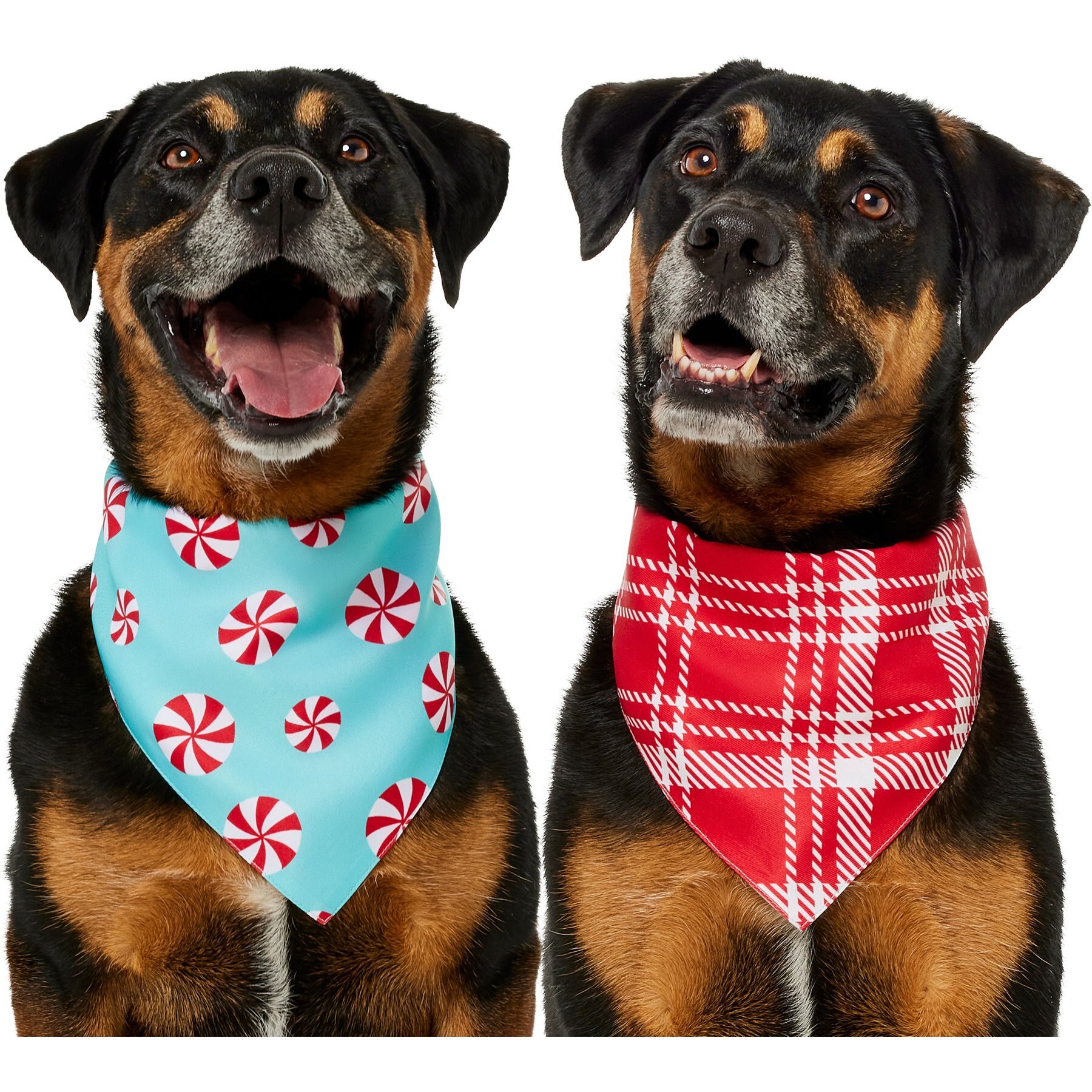 Frisco Christmas Peppermint and Plaid Reversible Dog & Cat Bandana, X-Large/XX-Large
