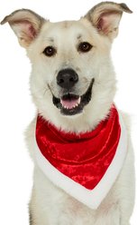 Frisco Christmas Santa Faux Fur Trim Dog & Cat Bandana, X-Large/XX-Large