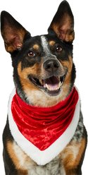 Frisco Holiday Santa Faux Fur Trim Dog & Cat Bandana, Medium/Large