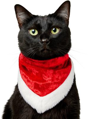 Show full view: Frisco Christmas Santa Faux Fur Trim Dog & Cat Bandana, X-Small/Small slide 2 of 10