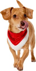 Frisco Holiday Santa Faux Fur Trim Dog & Cat Bandana, X-Small/Small