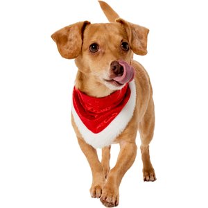 Frisco Light Up Holiday Wreath Dog & Cat Collar