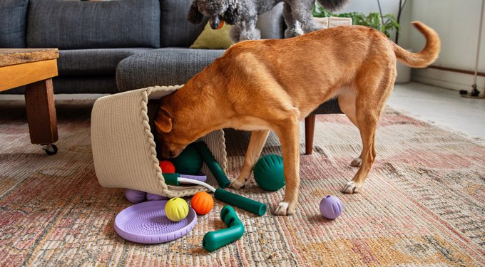 Woof Walkabout Dog Puzzle Toy & Slow-Feeder Kibble Dispenser, Green