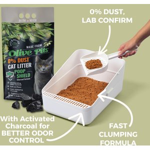 PACO & PEPPER Poop Shield Charcoal Natural Unscented Clumping Cat Litter, 25-lb bag