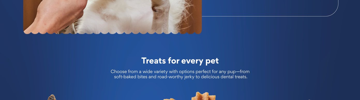 Chewy Natural Beef Flavor Dental Chew Dog Treats (FORMERLY TRUE ACRE FOODS)