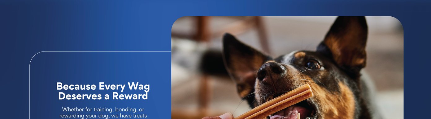 Chewy Natural Beef Flavor Dental Chew Dog Treats (FORMERLY TRUE ACRE FOODS)