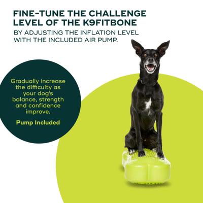Show full view: FitPAWS K9FITbone Dog Training Regular Balancing Bone, Green slide 4 of 8